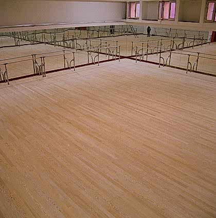 Ankara Opera Balo Salonu